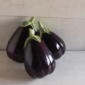 Eggplant