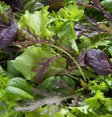 Lettuce, mixed