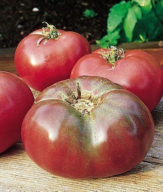 Tomato